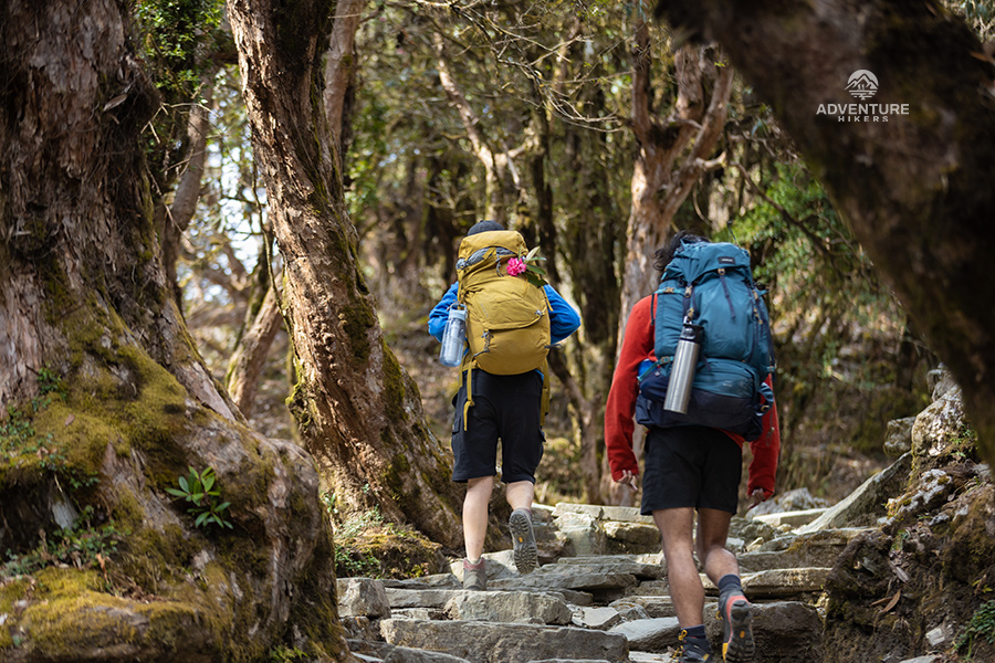 When is the Best time to Trekking Nepal