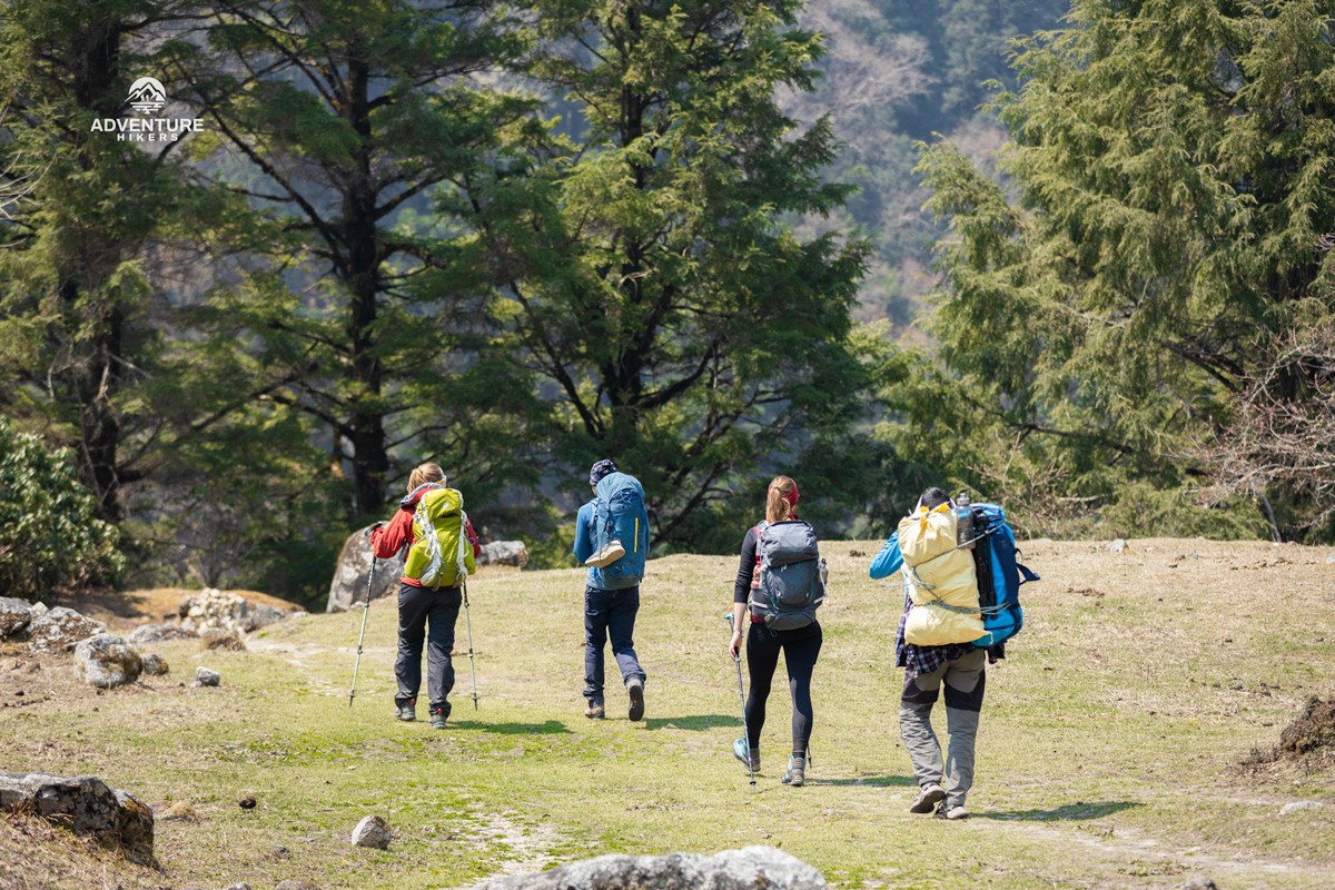 Hikers walking into the jungle after crossing the Larkya la pass of Manaslu Circuit Trek