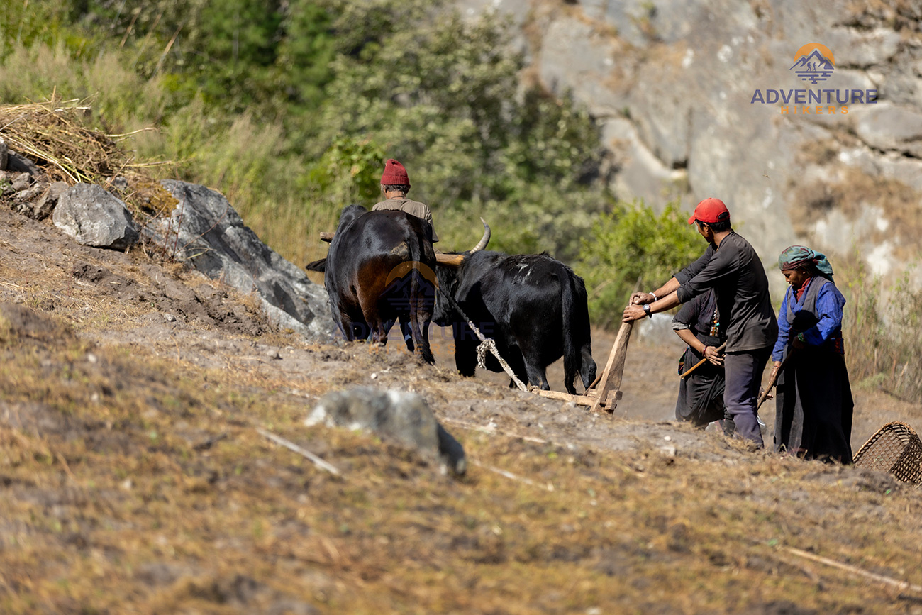 Culture of Manaslu Region